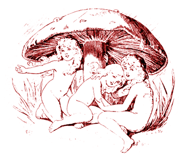 LEWIS CARROL (1833-1893) Naissance  d&rsquo;une nymphette ou les Aventures Souterraines d&rsquo;Alice (au Pays des Merveilles)