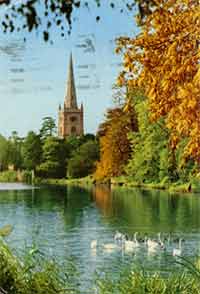 Stratford, the swans on the Avon (Private Collection)
