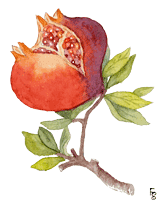 Watercolor by Françoise Serin